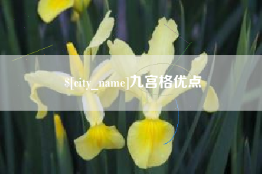 拉萨九宫格优点