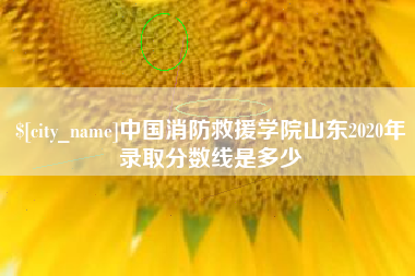 拉萨中国消防救援学院山东2020年录取分数线是多少