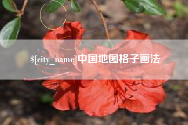 拉萨中国地图格子画法