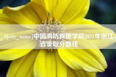 拉萨中国消防救援学院2021年浙江省录取分数线