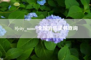拉萨全国消防证书查询