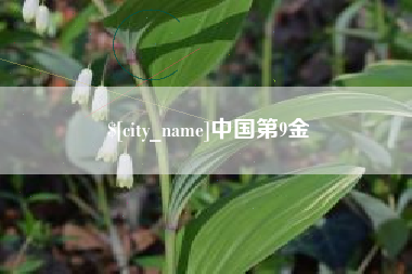 拉萨中国第9金