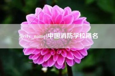 拉萨中国消防学校排名