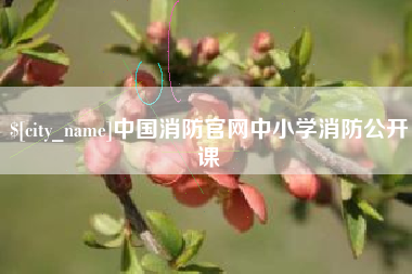 拉萨中国消防官网中小学消防公开课