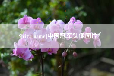 拉萨中国冠军头像图片