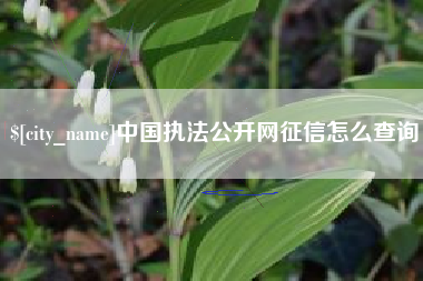 拉萨中国执法公开网征信怎么查询