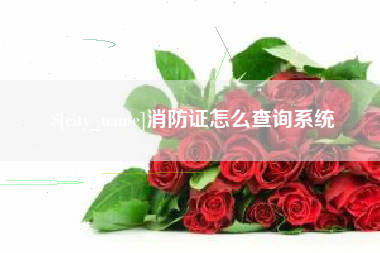 拉萨消防证怎么查询系统
