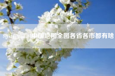 拉萨中国地图全图各省各市都有啥