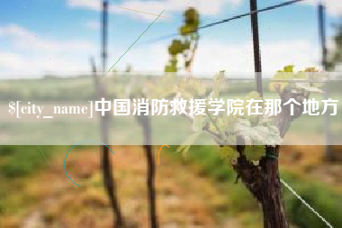 拉萨中国消防救援学院在那个地方