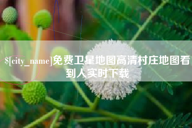 拉萨免费卫星地图高清村庄地图看到人实时下载
