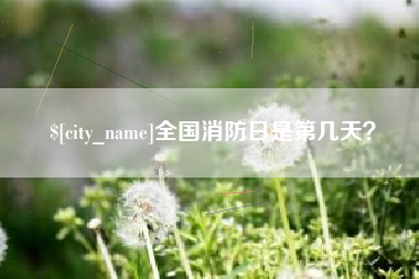 拉萨全国消防日是第几天？