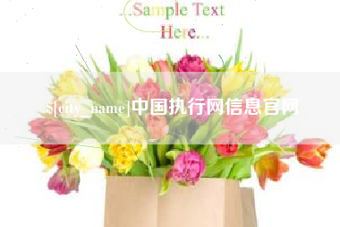 拉萨中国执行网信息官网