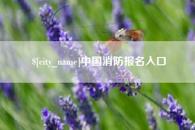 拉萨中国消防报名入口