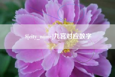 拉萨九宫对应数字