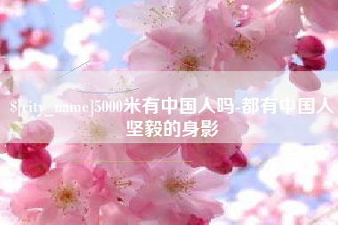拉萨5000米有中国人吗-都有中国人坚毅的身影