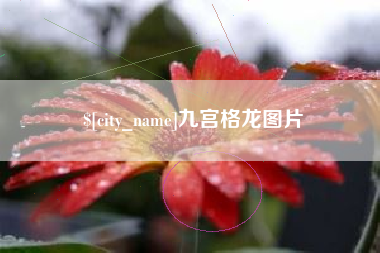 拉萨九宫格龙图片