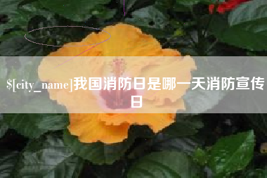 拉萨我国消防日是哪一天消防宣传日