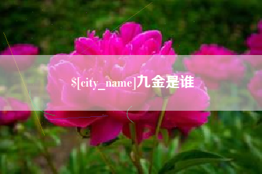 拉萨九金是谁