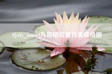 拉萨九宫格位置代表成员图