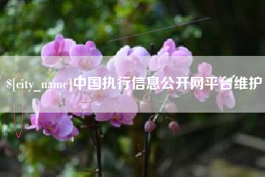 拉萨中国执行信息公开网平台维护