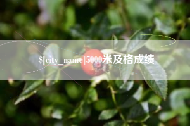 拉萨5000米及格成绩