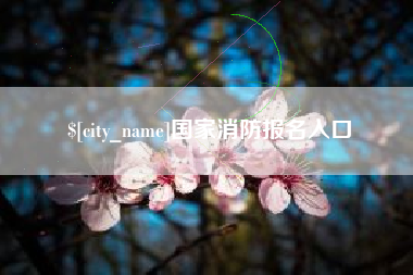 拉萨国家消防报名入口