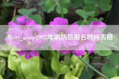 拉萨2025年消防员报名时间表格