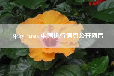 拉萨中国执行信息公开网后