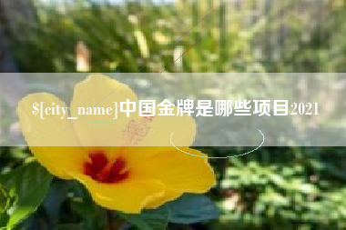 拉萨中国金牌是哪些项目2021