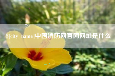 拉萨中国消防网官网网址是什么