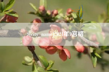 拉萨2021年9宫格