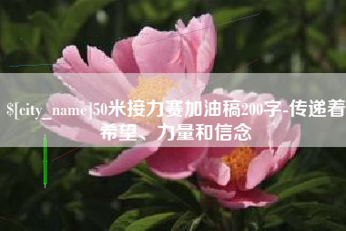拉萨50米接力赛加油稿200字-传递着希望、力量和信念