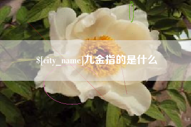拉萨九金指的是什么
