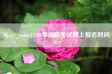 拉萨2020年消防考试网上报名时间