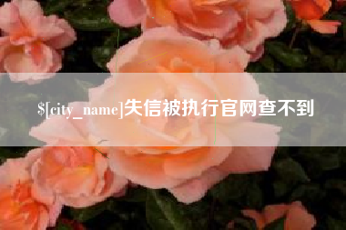 拉萨失信被执行官网查不到