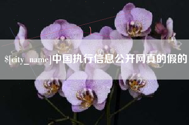 拉萨中国执行信息公开网真的假的