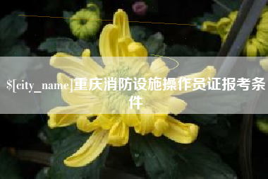 拉萨重庆消防设施操作员证报考条件