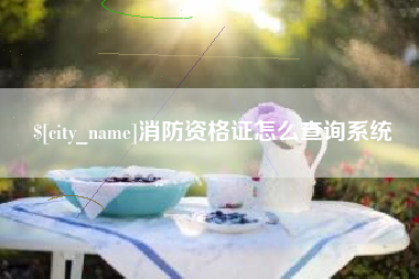 拉萨消防资格证怎么查询系统