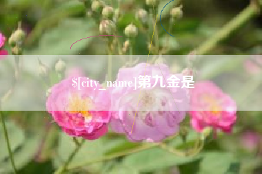 拉萨第九金是