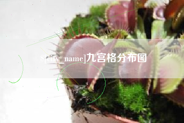 拉萨九宫格分布图
