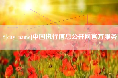 拉萨中国执行信息公开网官方服务
