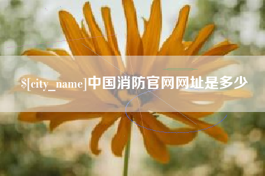 拉萨中国消防官网网址是多少