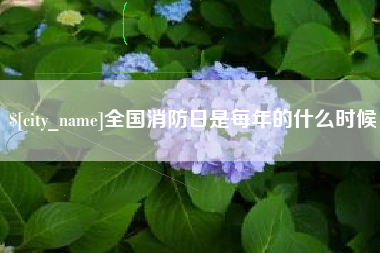 拉萨全国消防日是每年的什么时候