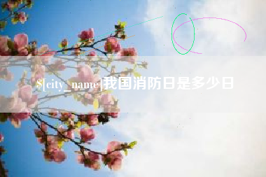 拉萨我国消防日是多少日