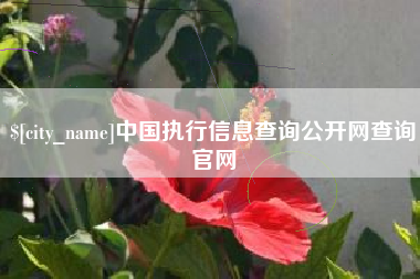 拉萨中国执行信息查询公开网查询官网