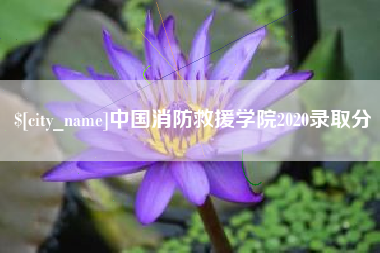 拉萨中国消防救援学院2020录取分
