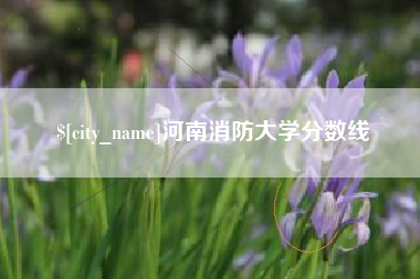 拉萨河南消防大学分数线