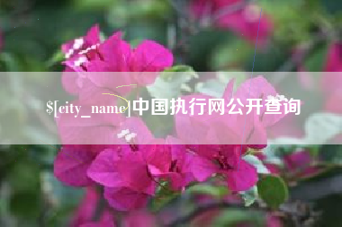 拉萨中国执行网公开查询