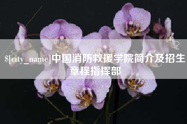 拉萨中国消防救援学院简介及招生章程指挥部