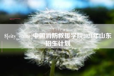 拉萨中国消防救援学院2021年山东招生计划